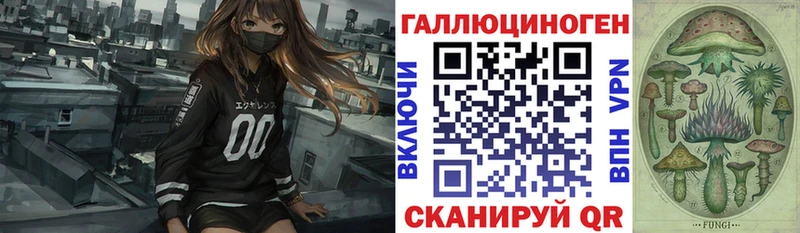Псилоцибиновые грибы Psilocybine cubensis  Невельск 